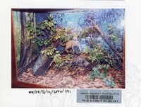 PAMERAN BALAI ILMU KEJADIAN 2002 BALAI C