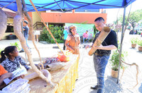 LIVING MUSEUM DAY MSKOA 2019