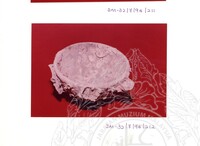 ARKEOLOGI SG. MAS, KEDAH SM : 32-7/94 (WARNA)