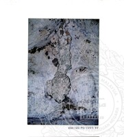 KURSUS ASAS ARKEOLOGI DAN EKSPLORASI GUA BERTEMPAT DI STESYEN RENJER GUNUNG SENYUM, TEMERLOH, PAHANG. ANJURAN CRECH ROVERS, POLITEKNIK MERLIMAU, MELAKA DENGAN KERJASAMA JMA DAN JABATAN PERHUTANAN PAHA