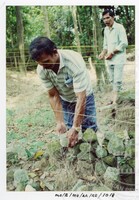 BANGUNAN MUZIUM ARKEOLOGI LEMBAH BUJANG KEDAH - JILID 4