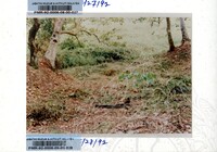 KOLEKSI PAMERAN ARKEOLOGI