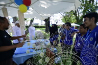 HMA 2024 - SPEED DATING WITH MUSEUM PRACTITIONERS