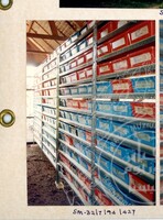 ARKEOLOGI SG. MAS, KEDAH SM : 32-7/94 (JILID 4) (WARNA)