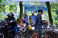 THE SUNBURST MARKETPLACE