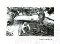 ARKEOLOGI SG. MAS, KEDAH SM: 32-5/ 93 VOL 4 W