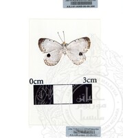 ALAM SEMULAJADI RAMA-RAMA JILID 1