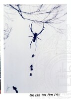 ARKEOLOGI SG, MAS, KEDAH SM: 32-12/ 99