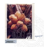 KOLEKSI PAMERAN ALAM SEMULAJADI 1994