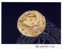 ARKEOLOGI SG. MAS, KEDAH SM: 32-8/ 95 (JILID 3) (WARNA)