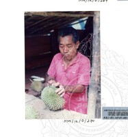 PAMERAN DURIAN RAJA SEGALA BUAH