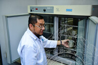 PENDOKUMENTASIAN TEKNIK SINARGAMA KEATAS KOLEKSI BAHAN NADIR JMM DI AGENSI NUKLEAR MALAYSIA