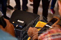 HMA 2024 - DEMONSTRASI MENCUCI KERIS OLEH PERSATUAN SENI PURBA PULAU PINANG