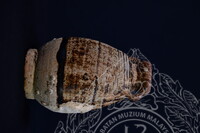 GAMBAR KOLEKSI KAPAL KARAM NANYANG, SUKOTHAI