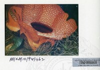 PAMERAN KEINDAHAN ALAM 1994 (2)