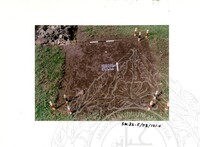 ARKEOLOGI SG. MAS, KEDAH SM: 32 - 5/ 93 VOL: 2 W