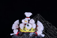 PENDOKUMENTASIAN ALAT HIASAN KEPALA