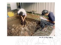 ARKEOLOGI SG. MAS, KEDAH SM: 32-5/ 93 VOL: 3 W