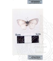 ALAM SEMULAJADI RAMA-RAMA JILID 1