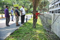 PROGRAM SENAM SENI DAN GOTONG ROYONG