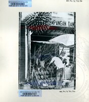 BAHAN PAMERAN DURIAN RAJA SEGALA BUAH