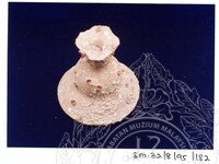 ARKEOLOGI SG. MAS, KEDAH SM: 32-8/ 95 (JILID 3) (WARNA)