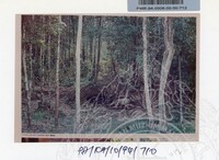 PAMERAN KEINDAHAN ALAM 1994 3