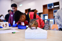 HMA2023 - CURATOR CRASH COURSE DI ARTS AND CRAFTS GALLERY, BCM