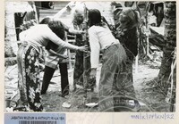 PEMUJAAN PANTAI  ( 148)