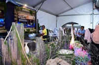 HMA 2025- 24.7.2025 - SEKITAR RERUAI PAMERAN, PANEL BY PANEL DAN CROWD