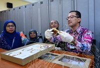 LAWATAN KERJA YBHG DATUK KSU KEMENTERIAN PERPADUAN NEGARA KE JMM