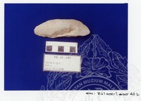 ARKEOLOGI SG. MAS, KEDAH SM : 32 / 2001 / 252 - 498 (JILID 2)