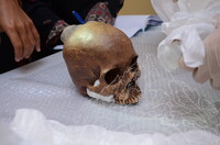 GAMBAR KOLEKSI DAN PENGENDALIAN PAMERAN GELARI 1