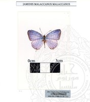 ALAM SEMULAJADI RAMA-RAMA JILID 1