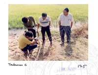 ARKEOLOGI SG. MAS, KEDAH SM: 32-5/ 93 VOL: 1 W