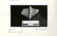 ARKEOLOGI SG. MAS, KEDAH SM: 32-4/ 93 VOL: 4 HP