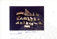 ARKEOLOGI SG. MAS, KEDAH SM : 32-4 / 93 VOL : 1 W