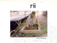 ARKEOLOGI SG. MAS, KEDAH SM: 32 - 5/ 93 VOL: 2 W