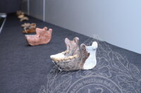 GAMBAR KOLEKSI DAN PENGENDALIAN PAMERAN GELARI 1