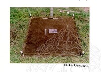 ARKEOLOGI SG. MAS, KEDAH SM: 32-5/ 93 VOL: 3 W