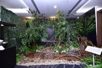 PERASMIAN PAMERAN BIDAN DAN RAMAH MESRA AIDILFITRI