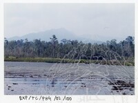 SURVEI KAWASAN SEKITAR TASIK CHINI DAN PENEMPATAN PENDUDUK ORANG ASLI YANG MENGHUNI SEKITAR KAWASANNYA PADA 27 OKTOBER 2002