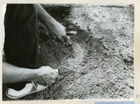 ARKEOLOGI KG. PANCU MUAR JOHOR 1978