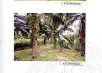 ARKEOLOGI TAMPAN, LENGGONG, PERAK JILID 4