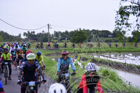 KARNIVAL KOTA KUALA KEDAH