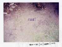 ARKEOLOGI SG. MAS, KEDAH SM: 32-9/2000 (JILID 2)