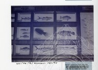 PAMERAN BALAI EKONOMI 1982