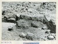 ARKEOLOGI BENDANG DALAM TPK 50 1974