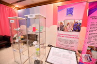 PANEL BY PANEL PAMERAN BIDAN