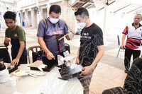 BENGKEL TAKSIDERMI IKAN